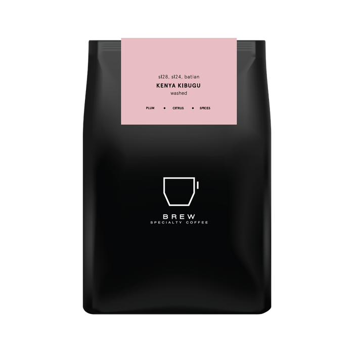 Kenya Kibugu