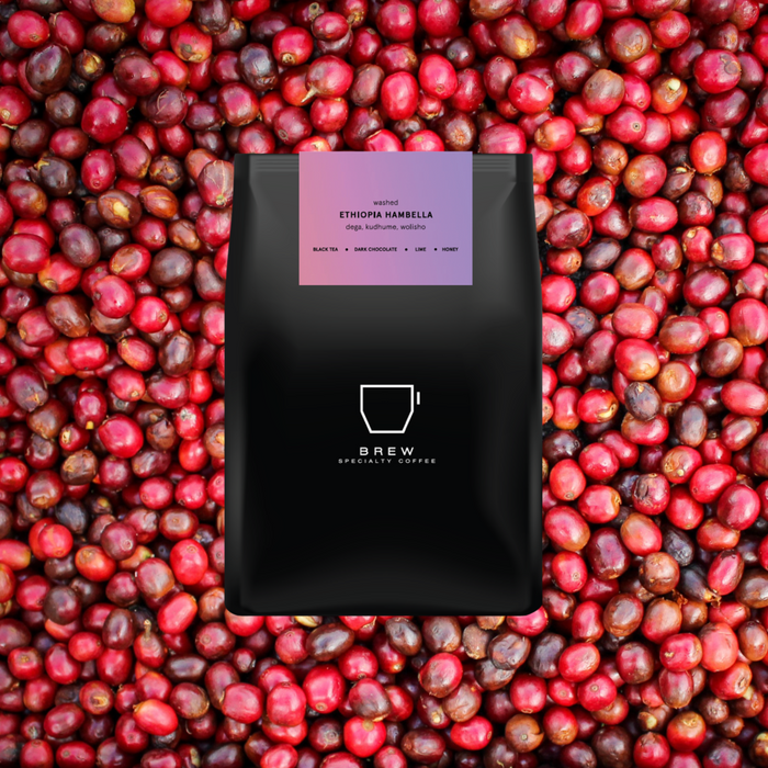 Ethiopia Hambella